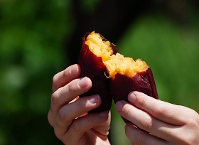 Viimo〔(有)ジー・シー・オー〕