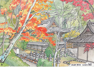 2019年11月号表紙